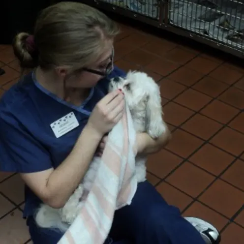 Our team of Animal Care Providers are responsible for the comfort of all patients boarding with us. Here, Care Provider, Ronnie snuggles with a patient.